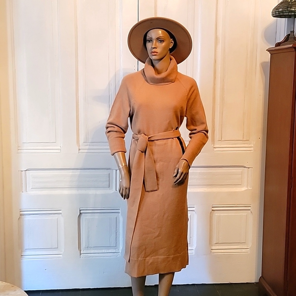 Banana Republic Camel sweater dress - Picture 3 of 8